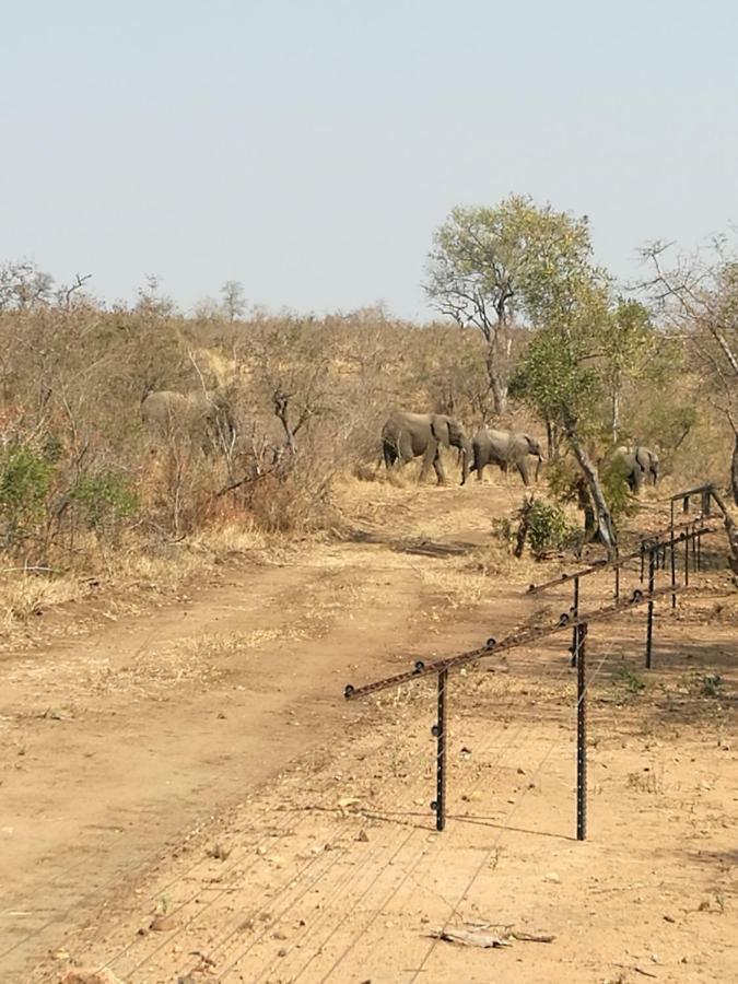 Ngalas Rest 101 Hectorspruit ภายนอก รูปภาพ